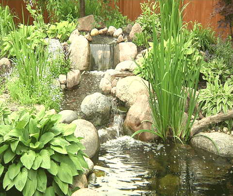Home Accessories, Outdoor items, Garden