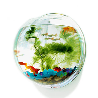 Acrylic wall hanging EXCLUSIVE Aquarium Tank